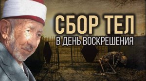 Уроки акыды 55: Сбор тел и возврат душ в День Воскрешения | Реинкарнация в Исламе есть?