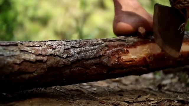 выживание лесу 90 дней. смотреть онлайн