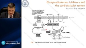 Лекарства, которых нам недостает в России Лебединский К.М