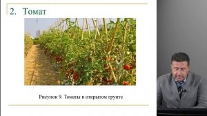 Горянников Ю. В. Овощеводство  35.03.04 Агрономия