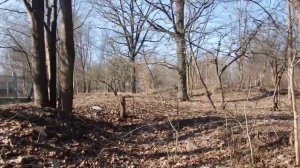 непростые разговоры. Рената Смирнова. Рига