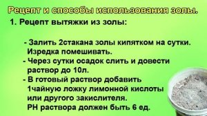 Вытяжка из золы. Кальций и калий и многое другое.