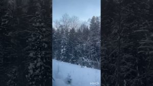 Новогодняя суета. Стих мое сочинение.