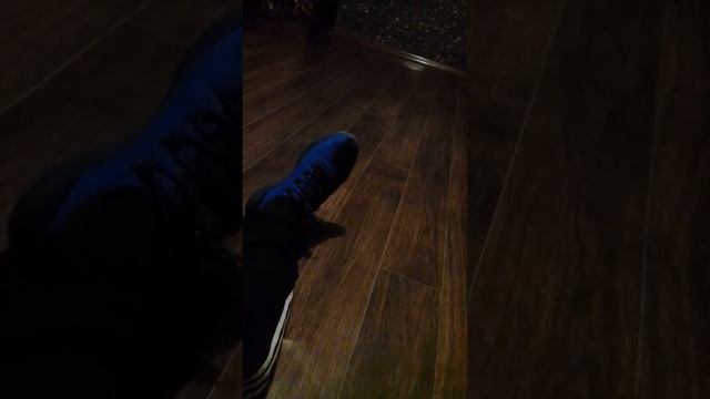 Если бы я не принёс домой собаки бы сожрали смотреть онлайн