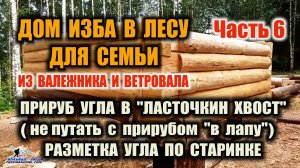 СРУБ В "ЛАСТОЧКИН ХВОСТ" ВСЕ ПЛЮСЫ. Идеальный шов по старинке без черты. Дом изба своими руками Ч.6