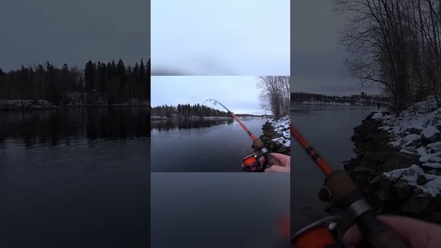 Как ловить кумжу на пилкер #fishing #рыбалка