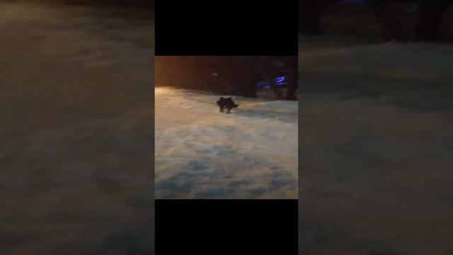 VID_20250104_025155.mp4 смотреть онлайн