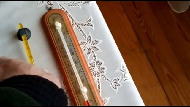 Пробная рассада в январе. Пошаговая инструкция