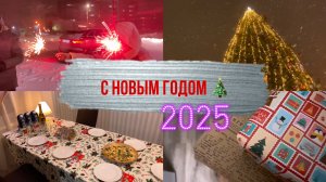 Новый 2025 год 🎄/ Заметает / Опять эти хлопушки!