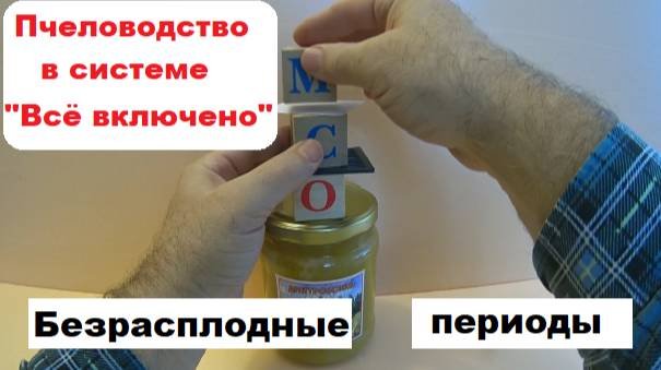 Безрасплодные периоды в системе пчеловодства 