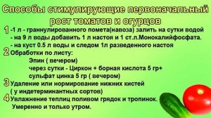 ШПАРГАЛКА 19. Схема подкормки для быстрого роста рассады после высадки.
