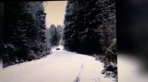 Наш ковер цветочная поляна ремикс