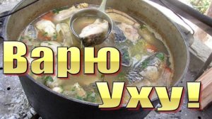 Как приготовить уху на костре в казане.