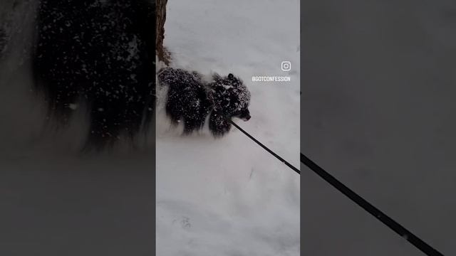 1000081838.mp4