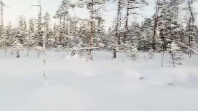 Белое безмолвие. Музыка Сергея Чекалина.