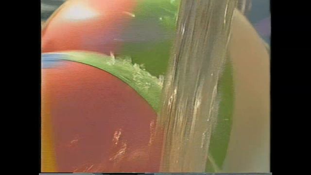 Ironman Swimsuit Spectacular Vol. 2 1997 - Part 2 - Toni Dee