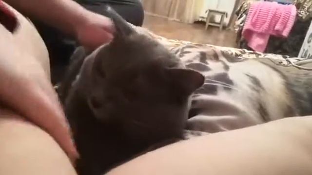 как батька облизывает подмышку смотреть онлайн