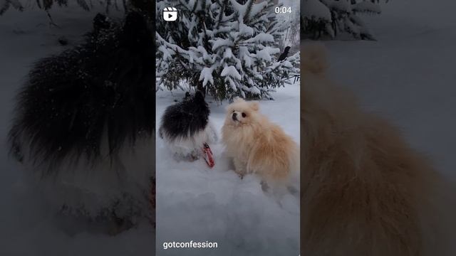 1000081840.mp4
