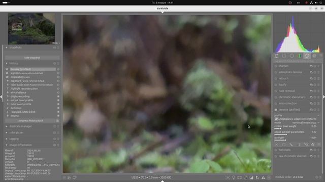 Darktable_#6_denoise profiled смотреть онлайн