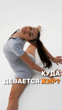 Куда девается жир, когда мы худеем?