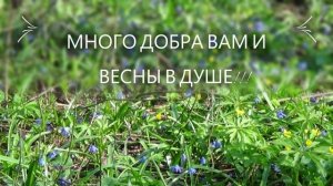 Много добра вам и весны в душе!!!