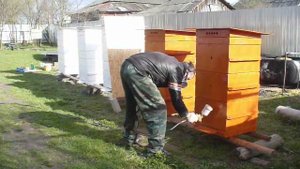 КРАСИТЬ УЛЬИ СТАЛО НАМНОГО ЛЕГЧЕ
