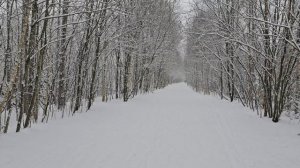 Начинаю заниматься здоровьем