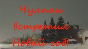 ЧУЛПАН ВСТРЕТИЛ НОВЫЙ ГОД !