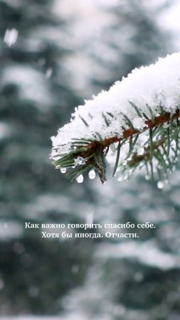 Спасибо за утро такое. Стихотворение Твардовского. Читает А. Татаринцев