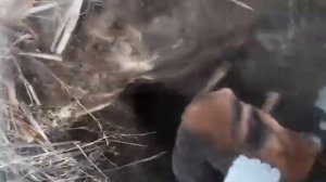 Охота состоялась