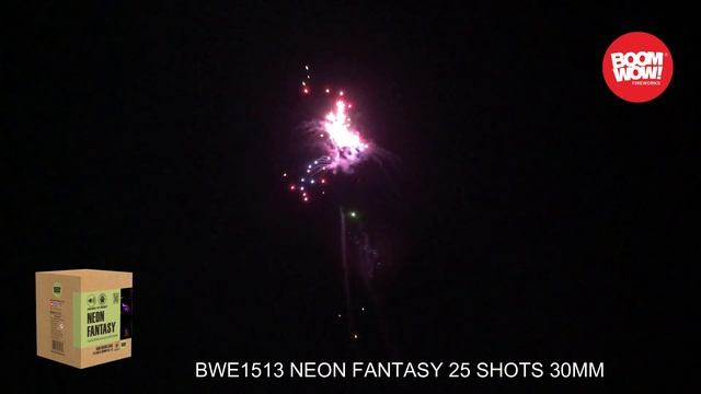 25s shots NEON FANTASY 500 gram low noise cake fireworks, low noise fireworks display BWE1513