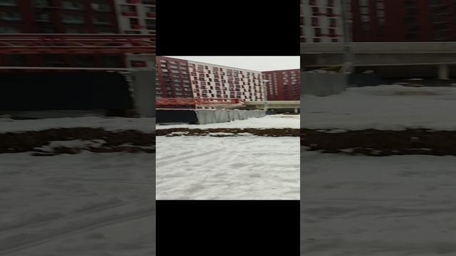 Прокшино 2025