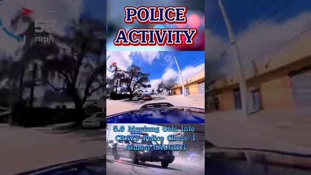 MUSTANG 5.0 GETS раззадорил полицейских. Захватывающая погоня. смотреть онлайн