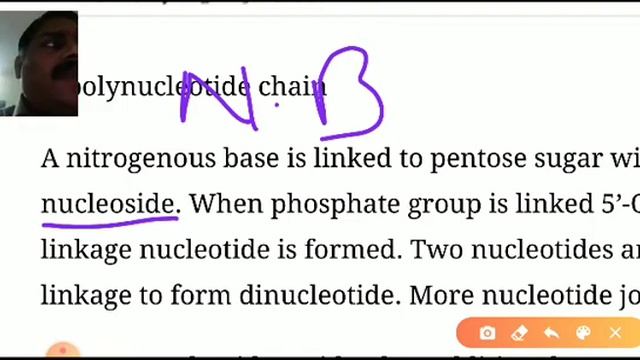 Class 12 Biology chapter 6 Molecular Basis of Inheritance