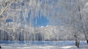 ДОЛЖЕН ЛИ ХРИСТИАНИН ОТМЕЧАТЬ НОВЫЙ ГОД??? ПРОРОЧЕСКОЕ СЛОВО ЗА НОВЫЙ ГОД!!! ПРОРОК Игорь Роменский!