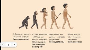 Всемирная история. 5 класс. Как появился первый человек.