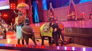 Театрализованное представление и шоу слонов в  Нонг Нуч #животные #слоны #тайланд #паттайя