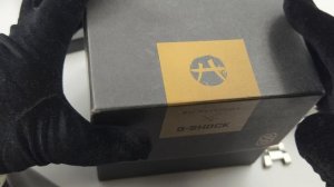 GST b100d rui hachimura