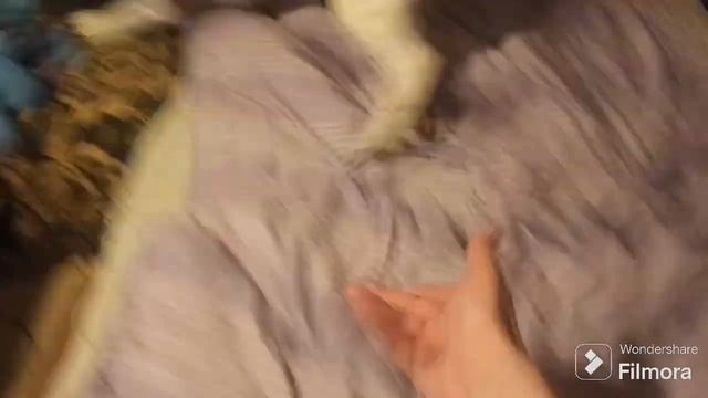 чем больше познаю людей' ..тем больше нравятся собаки смотреть онлайн