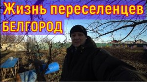 Из Германии в Белгород/Жизнь переселенцев