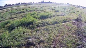 ОХОТА на БЕКАСА со СПАНИЕЛЕМ!!Всё пересохло но МЫ НАШЛИ!!Snipe hunting.