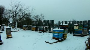 В гостях у пчеловода. Обзор пасеки.