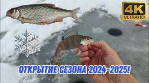 Открыл сезон ЗИМНЕЙ РЫБАЛКИ 2024-2025. Истринское водохранилище