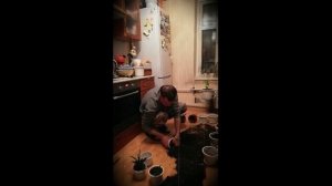 Кое-что про ответственность (из старых записей)