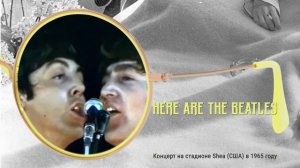 Here are the Beatles