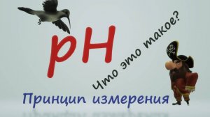 рН - Что это такое / Принцип измерения
