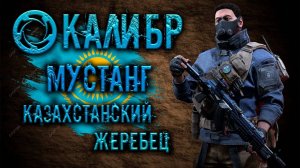 Калибр ● Мустанг - казахстанский жеребец! ● Обзор оперативника!