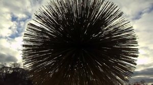 Мохнатка с огоньками