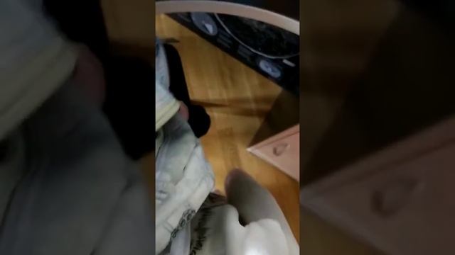 1 часть про моё приручение хомяка, купание черепахи.