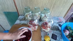 Яблочный компот с малиной лимоном и мятой.